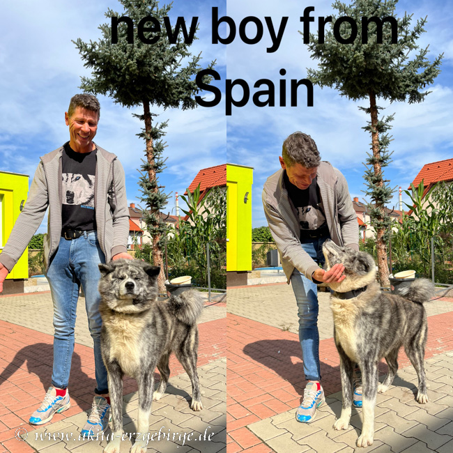 new boy from Spain