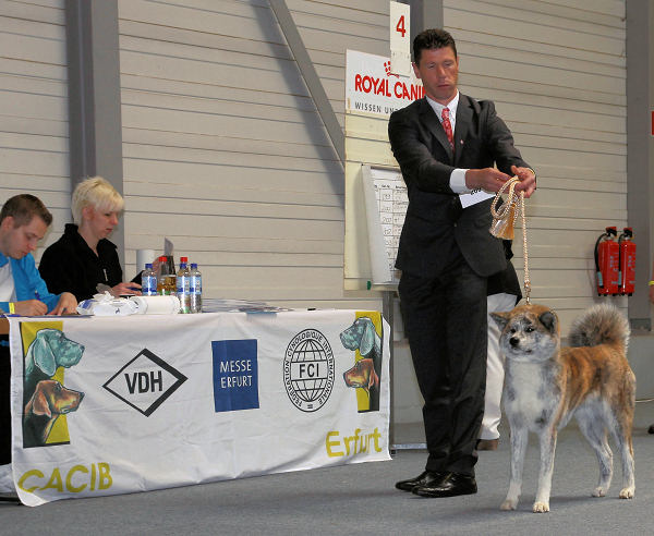 Rassehundeausstellung in Erfurt