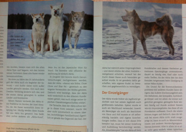 Zeitschrift "Unser Hund" Nr. 12/2012