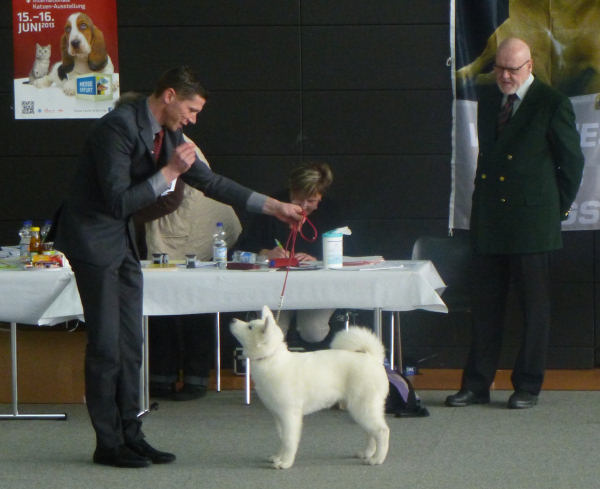 Rassehundeausstellung in Gera