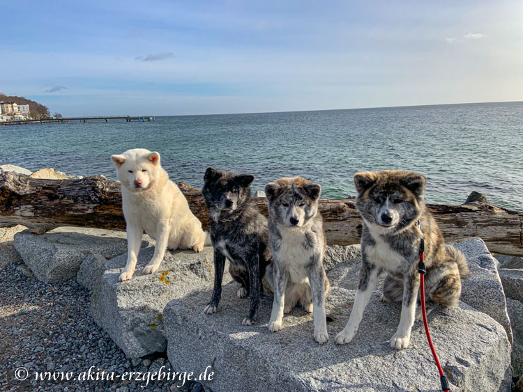 Winterurlaub auf der Insel Rügen im Februar 2022